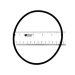 Astral Products 713R1329045 O-ring Chlorinator Lid PRE-06/03 1/2" Npt. Fixed Price $34.03.