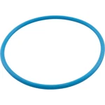 O-ring, Waterco Chlorinator, Lid, Viton. Fixed Price $50.20.