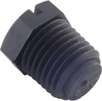 1/4IN Pipe Plug-hayward SPX1600V. Fixed Price $11.95.