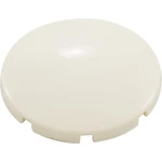 Balboa 13009-BC INJ-8 Snap Cap Biscuit Air Injector. Fixed Price $14.30.