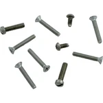 Niche Screw, Pentair, Aqualight, Stainless Steel. Fixed Price $31.02.