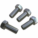 Hayward SPX0125Z44 Motor Cap Screws Set Of. Fixed Price $19.99.