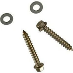 Hayward Pod Kit (2 Hex Head Screws/washers). Fixed Price $14.25.