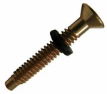 Pentair Pool Light Brass Pilot Screw With Gum Washer 79104800Z. Fixed Price $8.49.