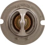 Thermal Regulator, Pentair Mastertemp 125. Fixed Price $85.88.