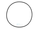 Hayward HCXP6014A Lid O-ring For Htc Pumps. Fixed Price $39.37.