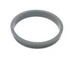 Gamma Series 3/4 Color Ring (light Gray) Pentair In-floor (a&a) 559621. Fixed Price $11.95.