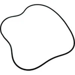 Aladdin 2470072 20IN Tank O-ring Swimquip O101 Jacuzzi Starite / O-101. Fixed Price $28.95.