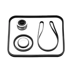 Southeastern Salt Pool Pump Gasket Seal O-ring Repair Kit For Hayward(r)*. Fixed Price $30.77.