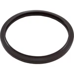 Zodiac Jandy Silicone Gasket, Pool Rgbw Led, Replacement Kit. Fixed Price $39.95.