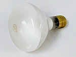 Sylvania 500W 250V R40 Reflector Flood Photo Pool Weather Resistant Light Bulb. Fixed Price $78.95.