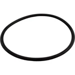 Waterway Plastics 806105129826 6" Trap Lid O-ring. Fixed Price $10.14.