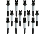 Ignition Coil Kit For 2004-2010 Rolls Royce Phantom 2005 2006 2007 2008 ZN919TS. Fixed Price $155.18.