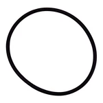 Pentair O-ring For Eq-series Commercial Pool & Spa Pumps, Diffuser. Fixed Price $40.64.