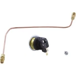 Pressure Switch, Zodiac Laars HI-E2, With Siphon Loop. Fixed Price $121.85.