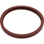Gasket Kit, Pentair American Products Amerquartz, Light Lens : 620400Z. Fixed Price $57.17.
