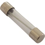 Fuse, Balboa Water Group, 0.3 Amp. Fixed Price $12.75.